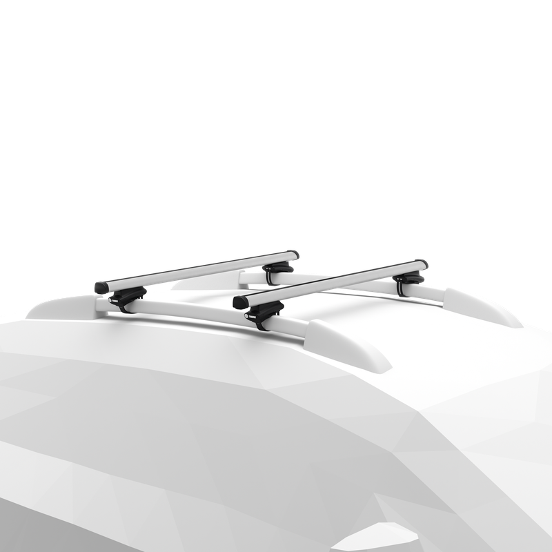 Thule oversized rail foot on Thule ProBar