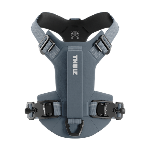 Thule Dart harness L dark slate