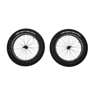 Reacha 20" fat tire wheel set
