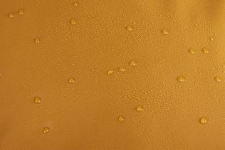 Thule Chasm 30L duffel golden