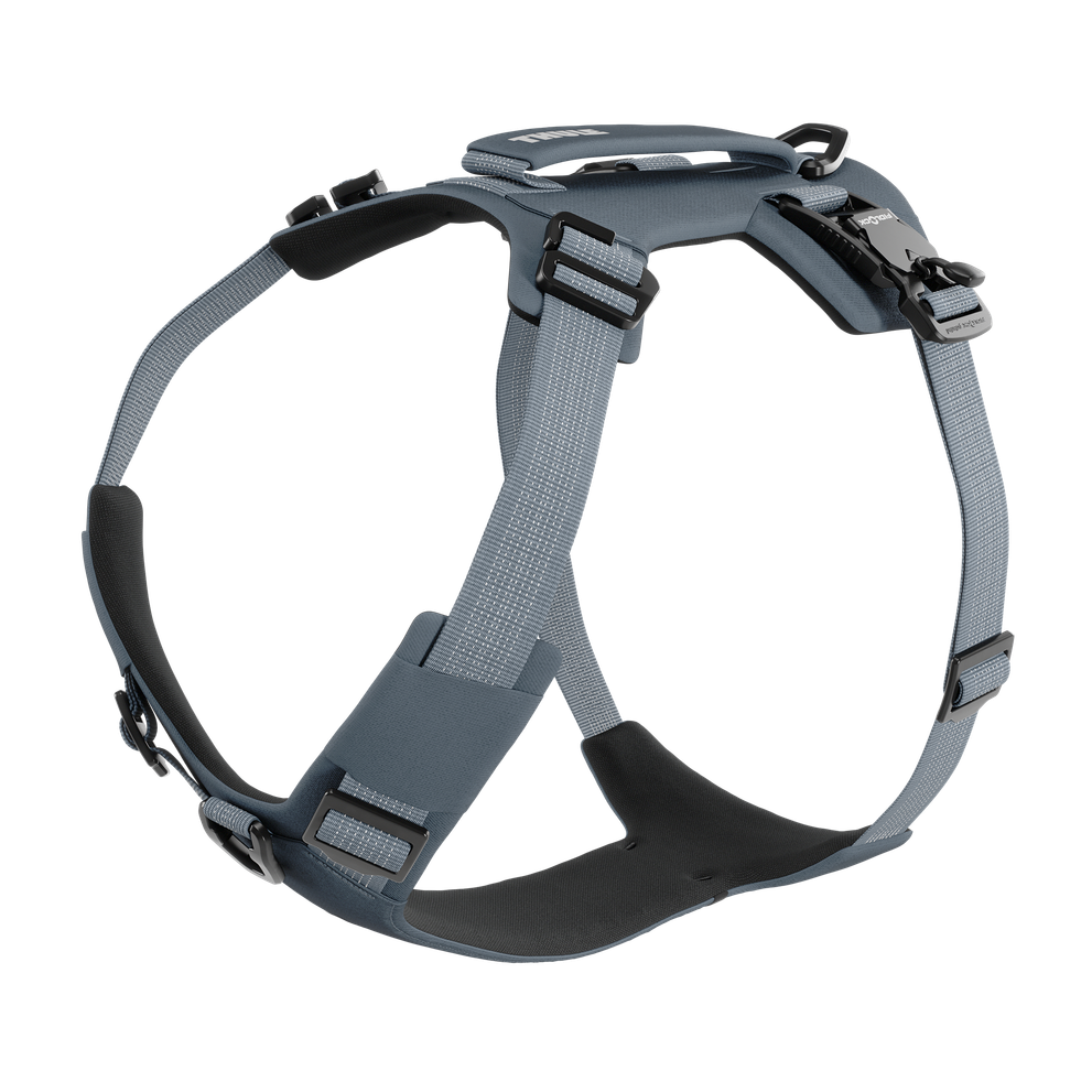Thule Dart harness L dark slate