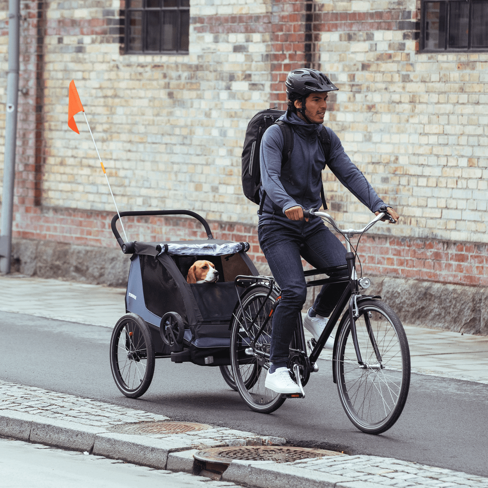 A man bikes down a bike path with a dog inside the dog bike trailer using the Thule Courier Dog Trailer Kit.