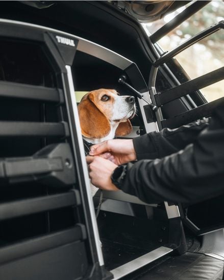 Quality design - Thule Allax double