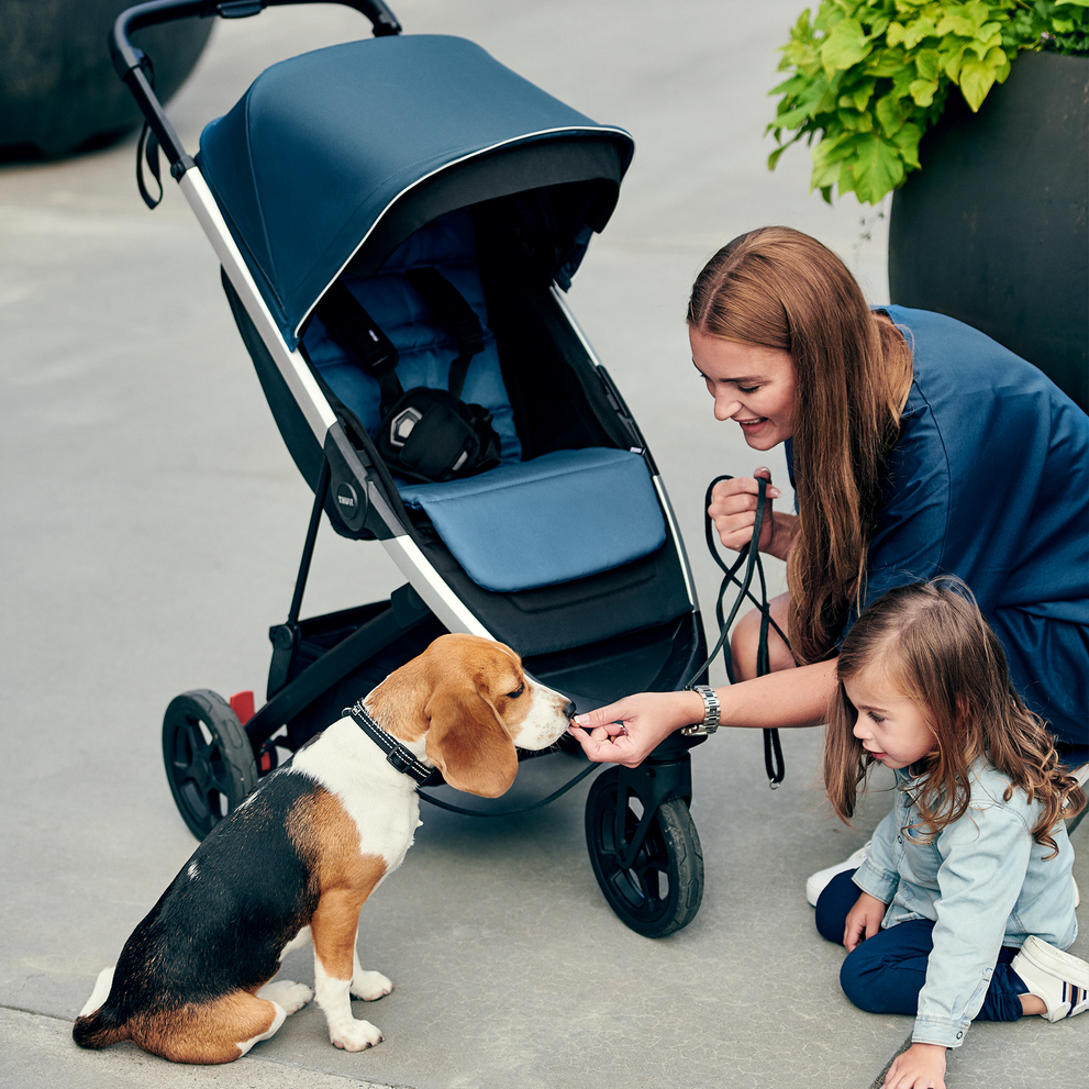 Next to a blue stroller with a blue Thule Seat Liner, a woman feeds a dog and her kid sits next to her.