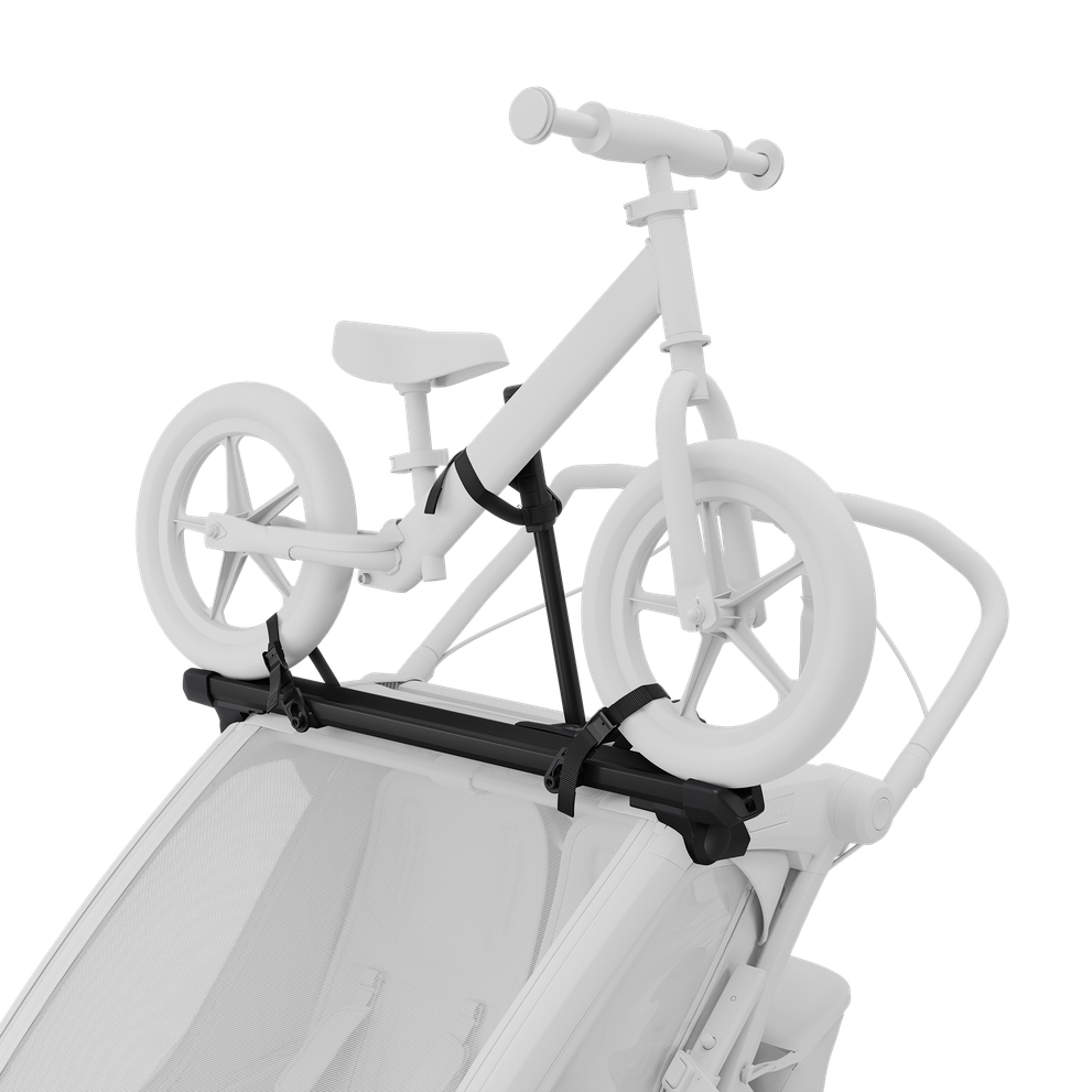 Thule Chariot 2 bike holder