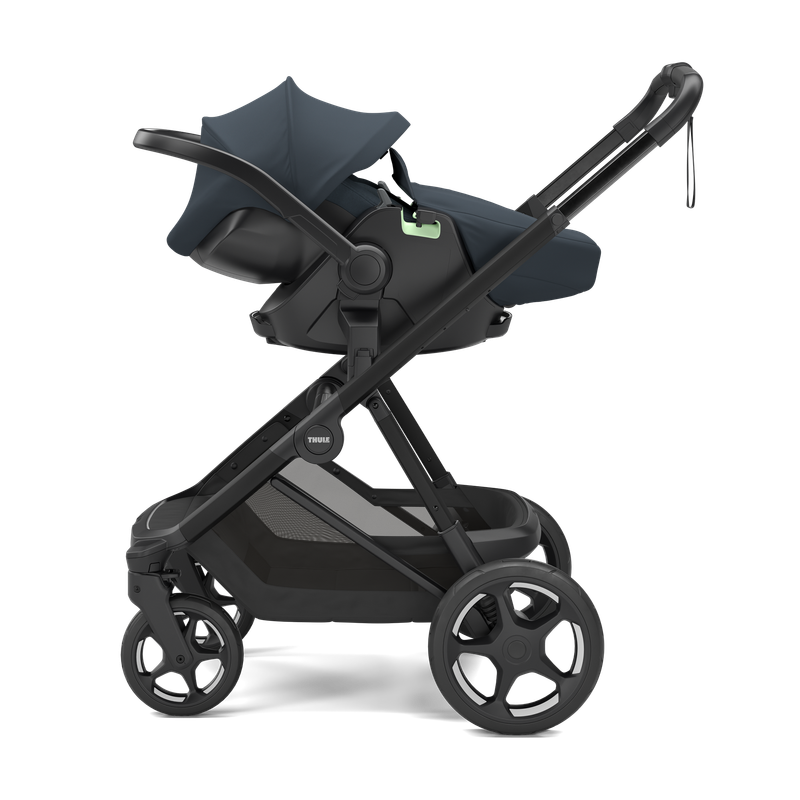 Thule Maple - Darkest blue