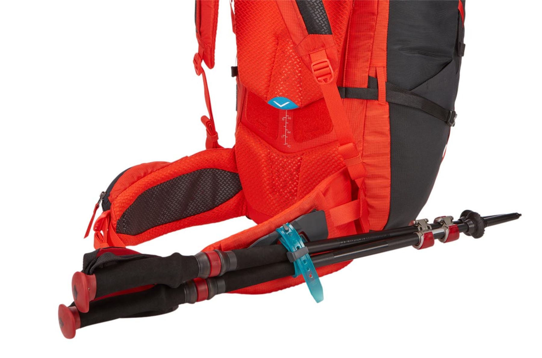 trekking pole holder backpack
