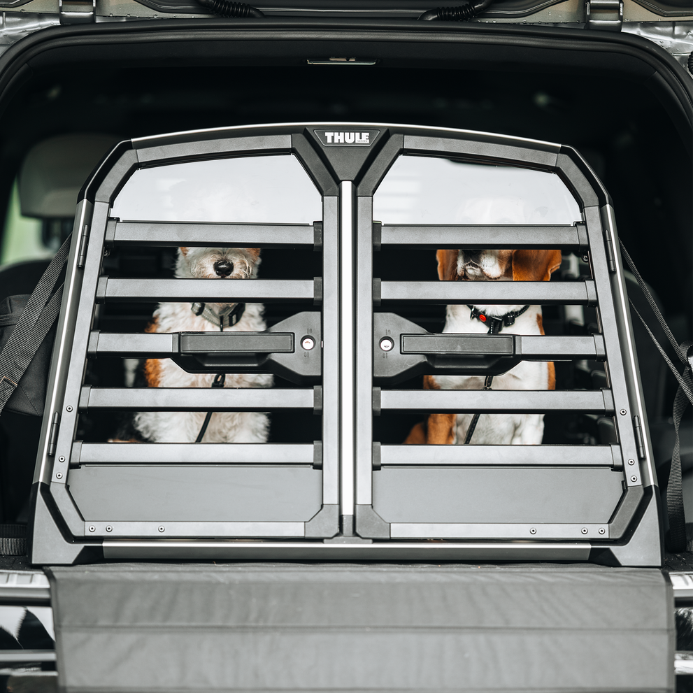 Two dogs sitting securely inside a Thule Allax double dog car crate installed in the trunk of an SUV, viewed from the back with the crate doors closed.