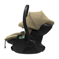 Thule Maple - Faded khaki