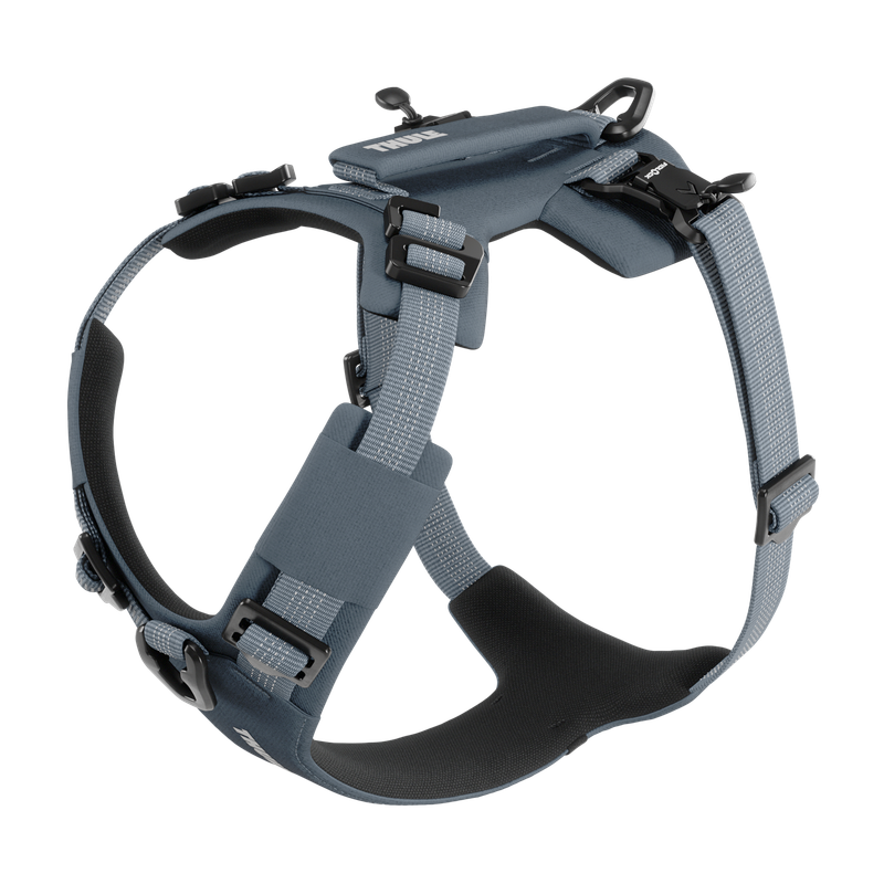 Thule Dart harness S dark slate