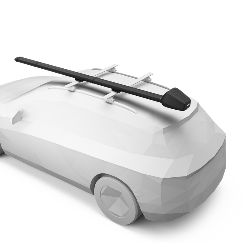 RBV2
