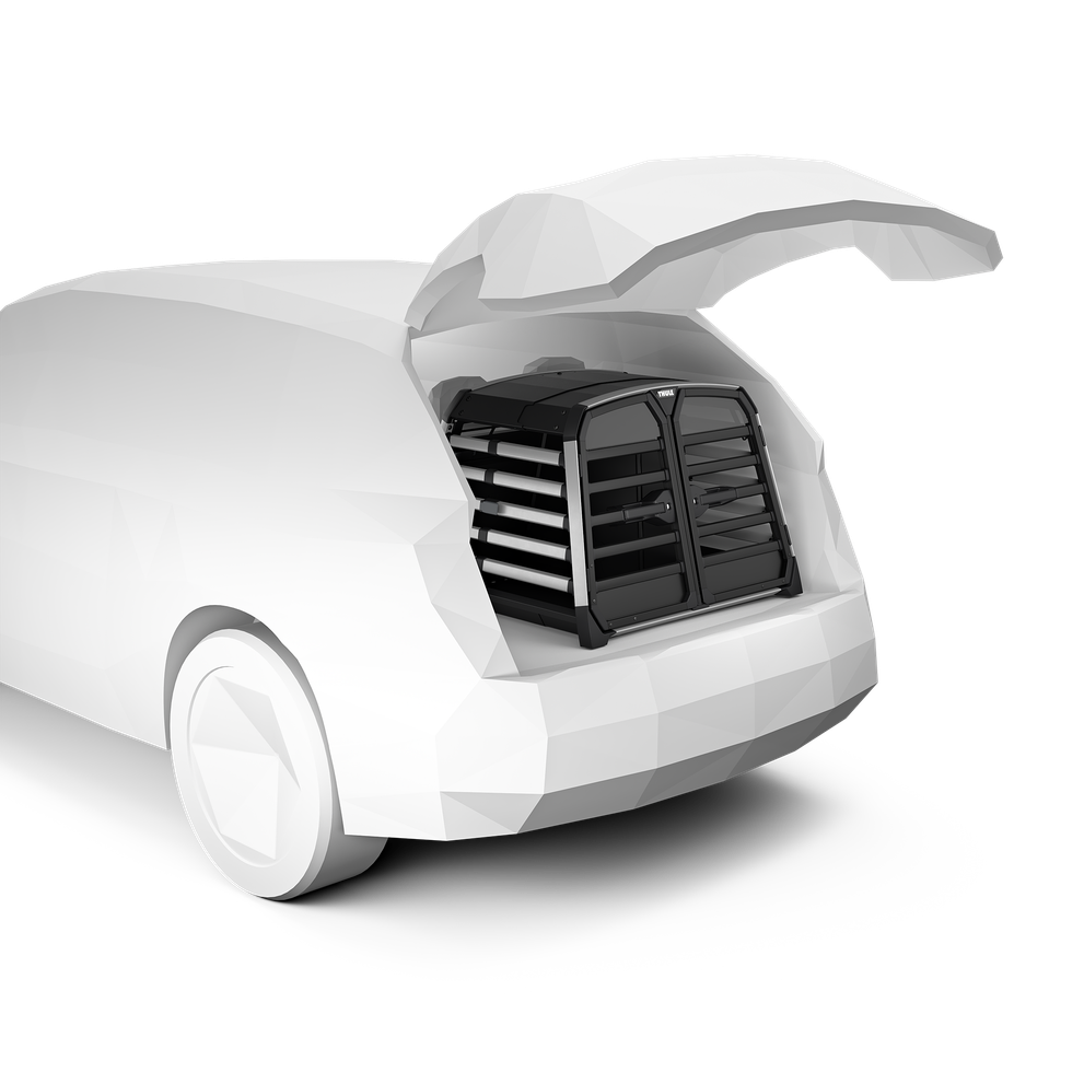 Thule Allax double S