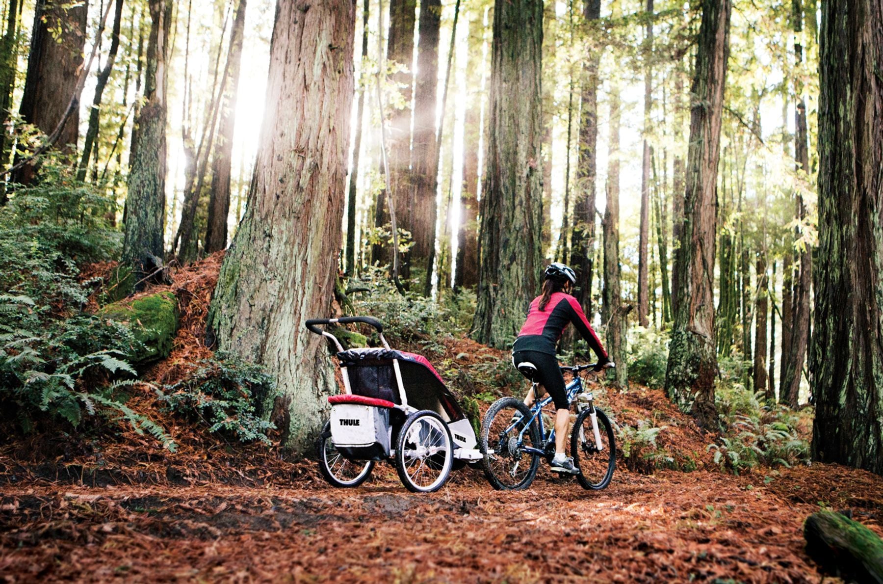 Thule Bicycle Trailer Kit Thule Hungary