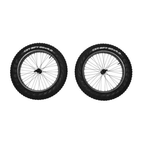 10101415_Reacha_20_fat_tire_wheel_set