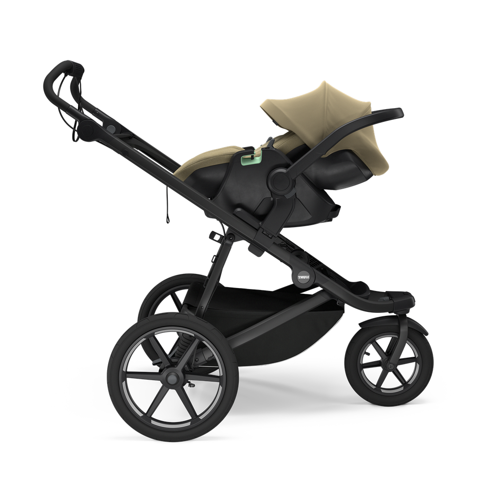 Thule Maple - Faded khaki