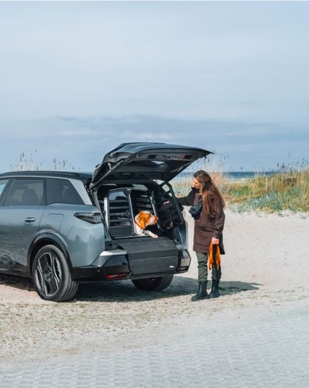 Noiceless comfort - Thule Allax double