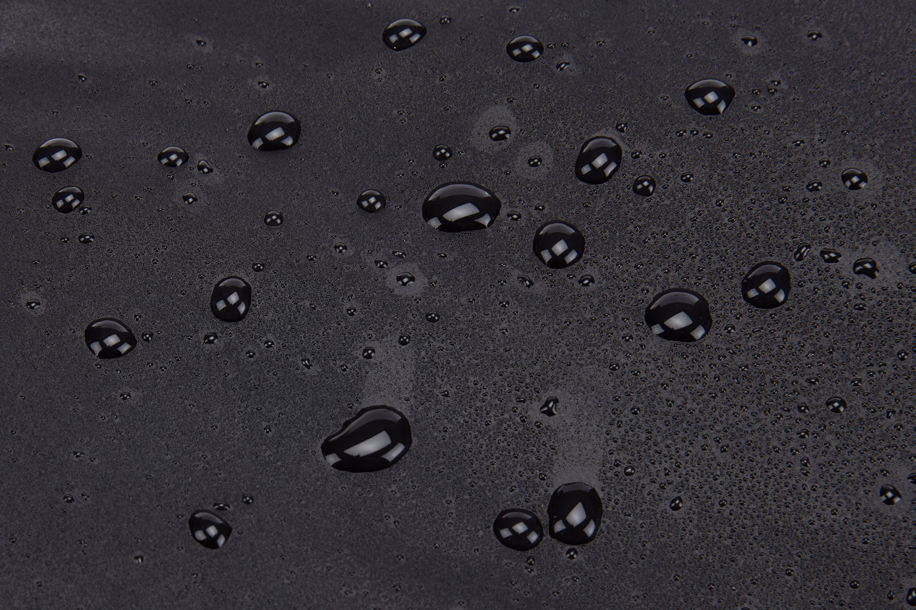 Thule Chasm carry on black