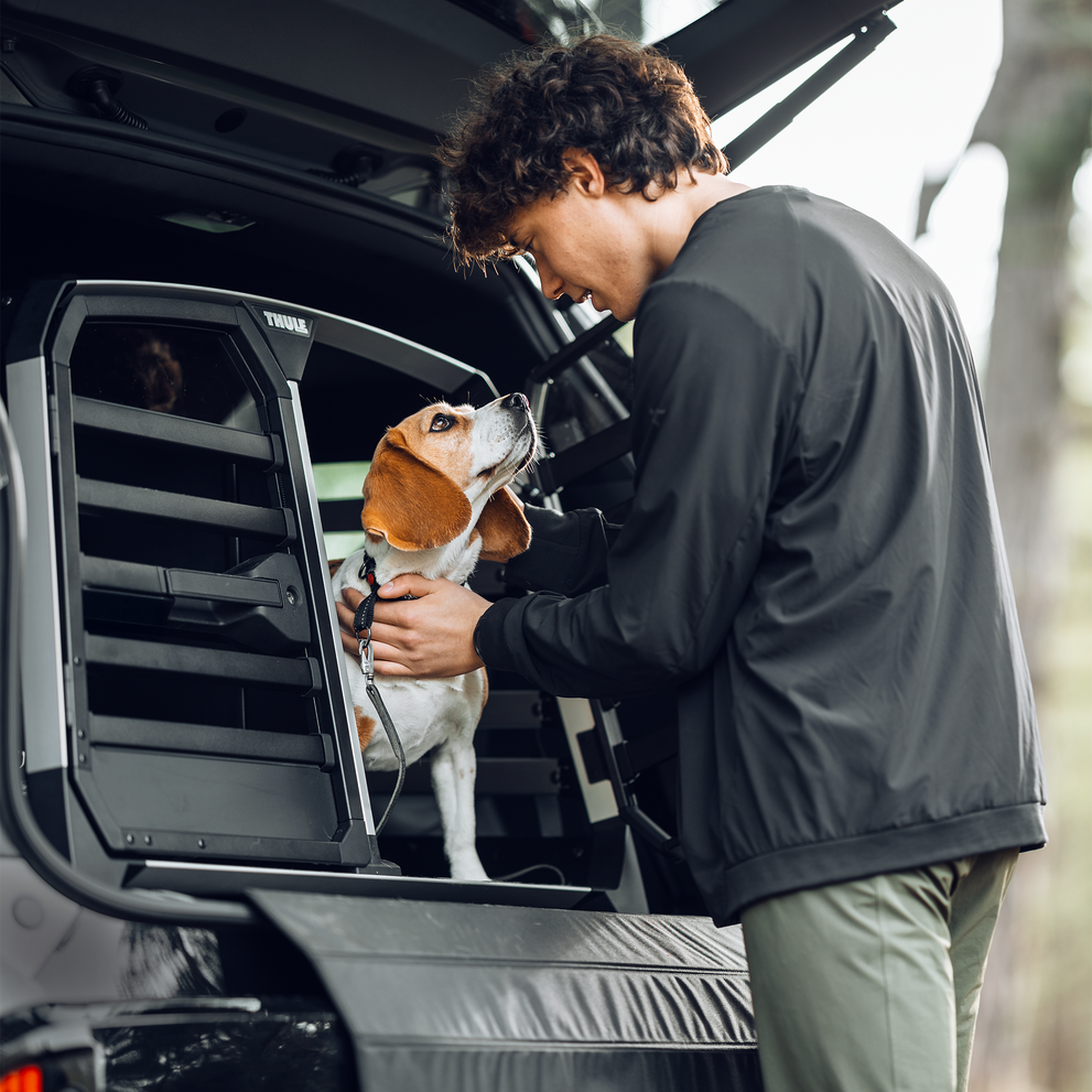 A dog inside the Thule Allax double dog car crate, looking out while a person reaches in to adjust or comfort the dog.