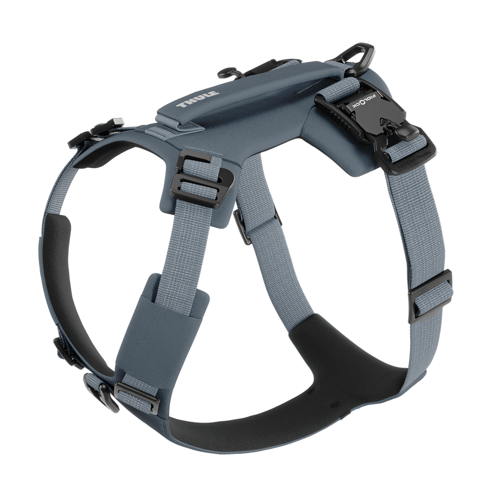 Thule Dart harness M dark slate