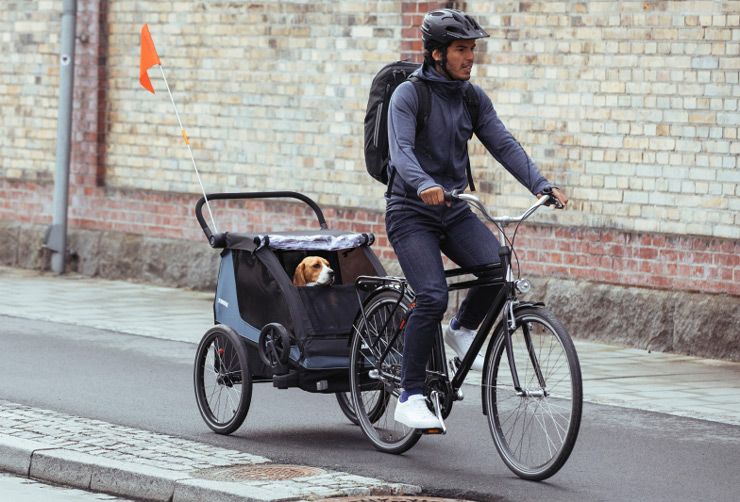 A man cycles down a city bike path with his dog in the Thule Courier dog bike trailer.
