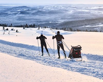 Two skiers ski with a Thule bike trailer ski pulk through a snowy countryside.