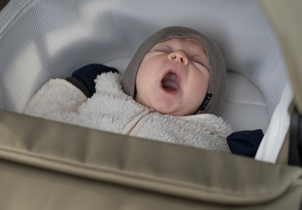 Bébé endormi dans un berceau poussette Thulé.