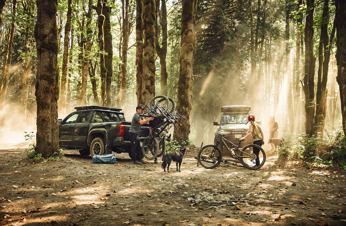 Gruppenentladung von Mountainbikes und Ausrüstung von Fahrzeugen in einem sonnenbeschienenen Wald, wobei Thule-Fahrradträger und Ladeboxen auf dem Dach sichtbar sind; Ein Hund und zwei Personen bereiten sich auf eine Fahrt vor.