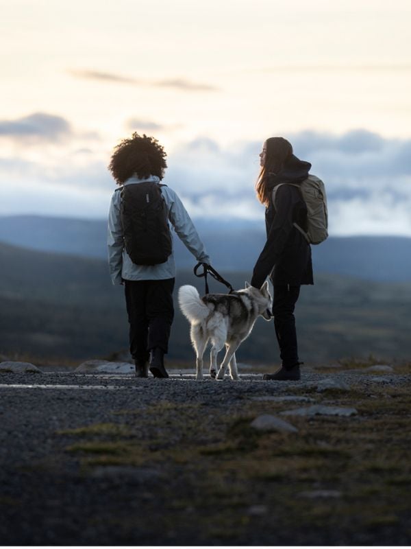 Duas pessoas caminham por uma trilha na montanha ao anoitecer, cada um carregando uma mochila Thule AllTrail. Um husky com coleira os acompanha.