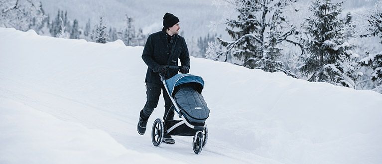 thule sleek accessories