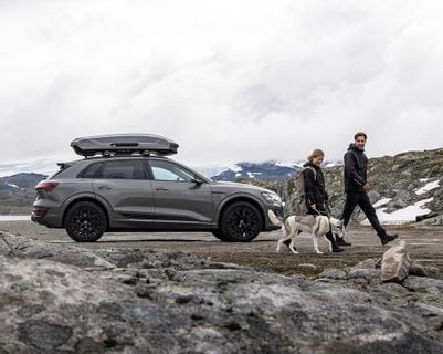 Two people with a dog walks beside a parked car with a roof box on top.