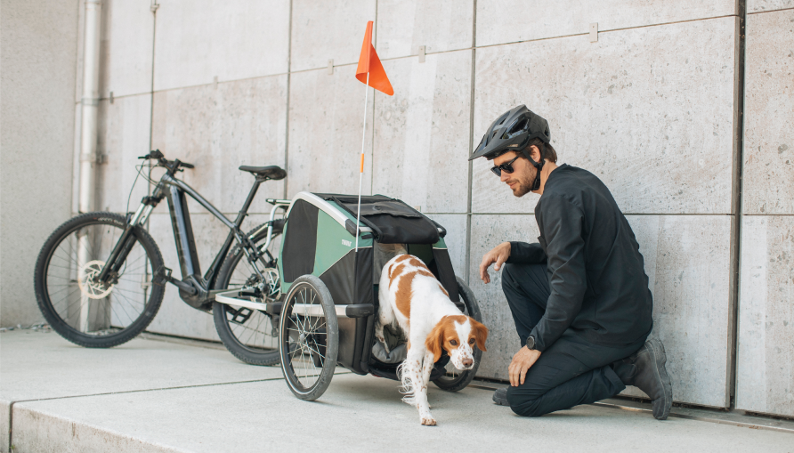 Hond die uit een fietstrailer stapt naast een geparkeerde fiets.