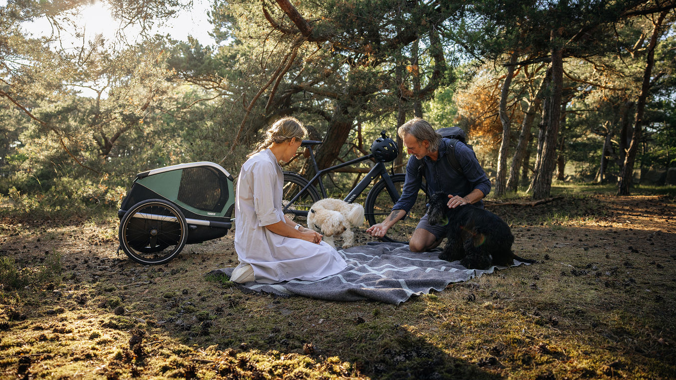 Thule bike trailer on a picnic in the forest