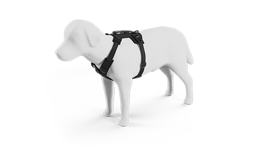 Dog harnesses from the side