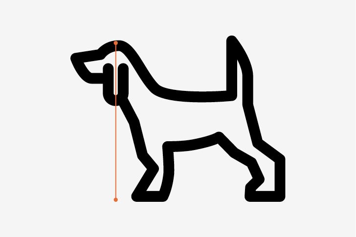 Illustrasjon av hvordan man måler hundens høyde