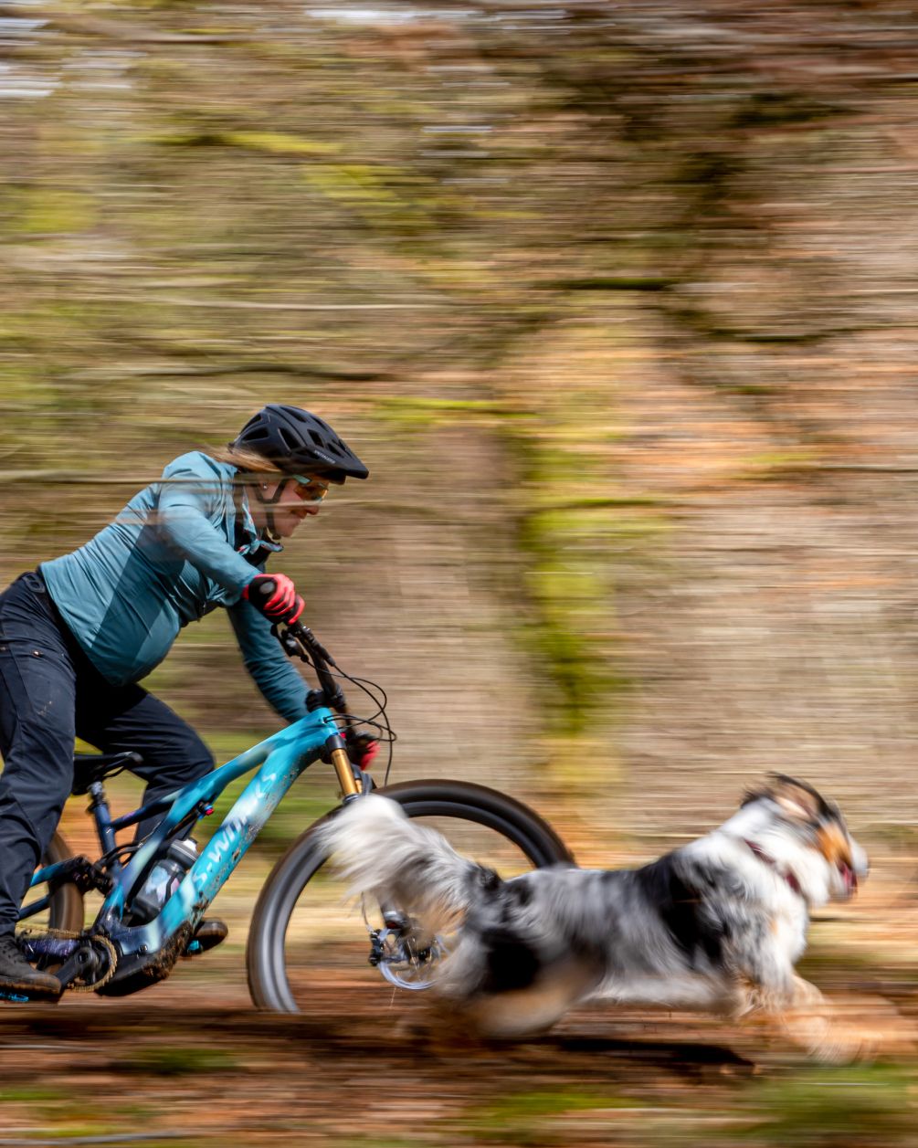 A woman biking fast on a mountainbike and a dog running beside her
