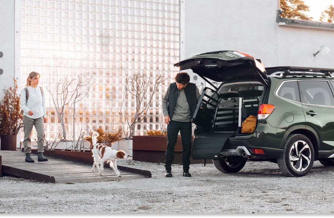 Thule car with a dog on an outdoor trip