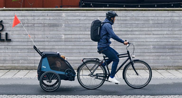 A man cycles down a city bike path with his pet dog in the Thule Courier dog bike trailer.