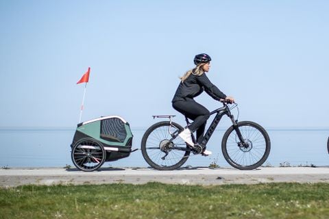 Cyclist riding with a dog in a Thule Bexey dog bike trailer.