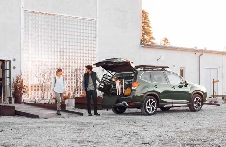 一男一女站在一輛汽車旁，打開的後車廂裡有一個狗籠和一隻狗。