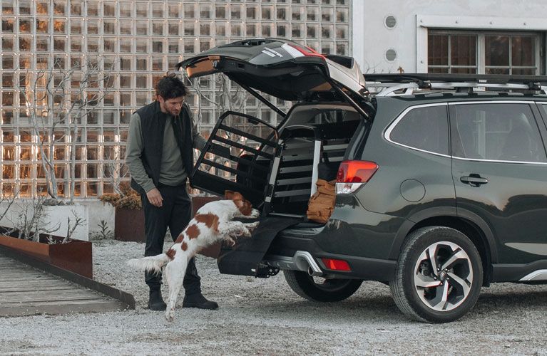 A dog is jumping into a Thule Allax dog crate mounted in a car.