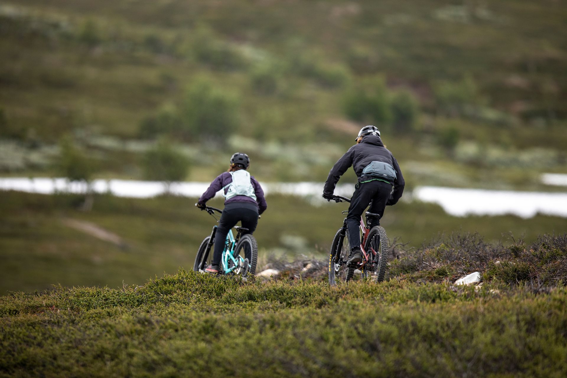Dois ciclistas pedalam de bicicleta de montanha por um trilho estreito, visto de costas.