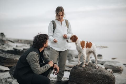 Um cão está de pé sobre uma rocha de grandes dimensões numa praia com um homem e uma mulher ao lado. 