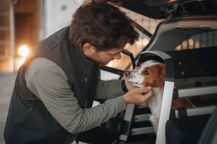 Um homem, ao lado de uma caixa para cães, a fazer festas ao seu cão.