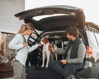 Uma mulher e um homem interagem com um cão de pé na bagageira aberta de um SUV. O cão está posicionado em frente a um transportador para cães Thule Allax.