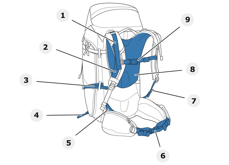 An illustration of all the important parts of a hiking backpack.