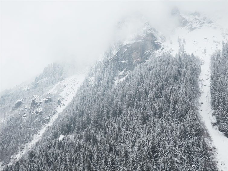 The steep slopes at Mayrhofen are covered in pine trees, and the peak is covered in fog.