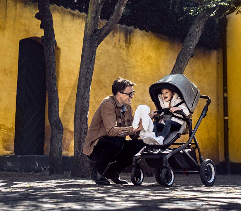 thule sleek weight limit