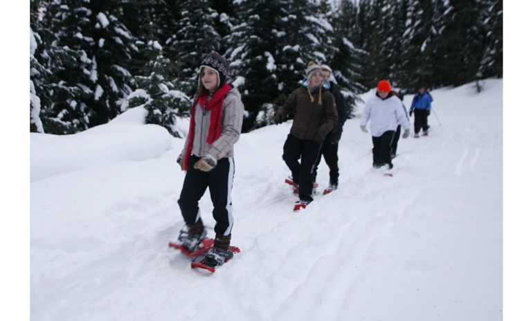 People walk one after the other and go snowshoeing through a forest.