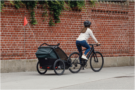 A person rides a bike while towing a child trailer along a brick wall.