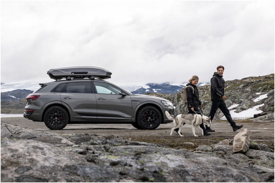 Zwei Personen, die mit einem Hund neben einem geparkten Auto mit einem Thule Motion 3 spazieren gehen.